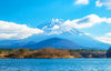 Mount Fuji - Hakone - Kamakura Private Car Day Tour (Hotel pick - up and drop - off - Multiple vehicle options available)