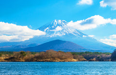 Mount Fuji - Hakone - Kamakura Private Car Day Tour (Hotel pick - up and drop - off - Multiple vehicle options available)