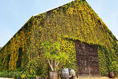 Bangkok and Khao Yai Car Rental with Driver