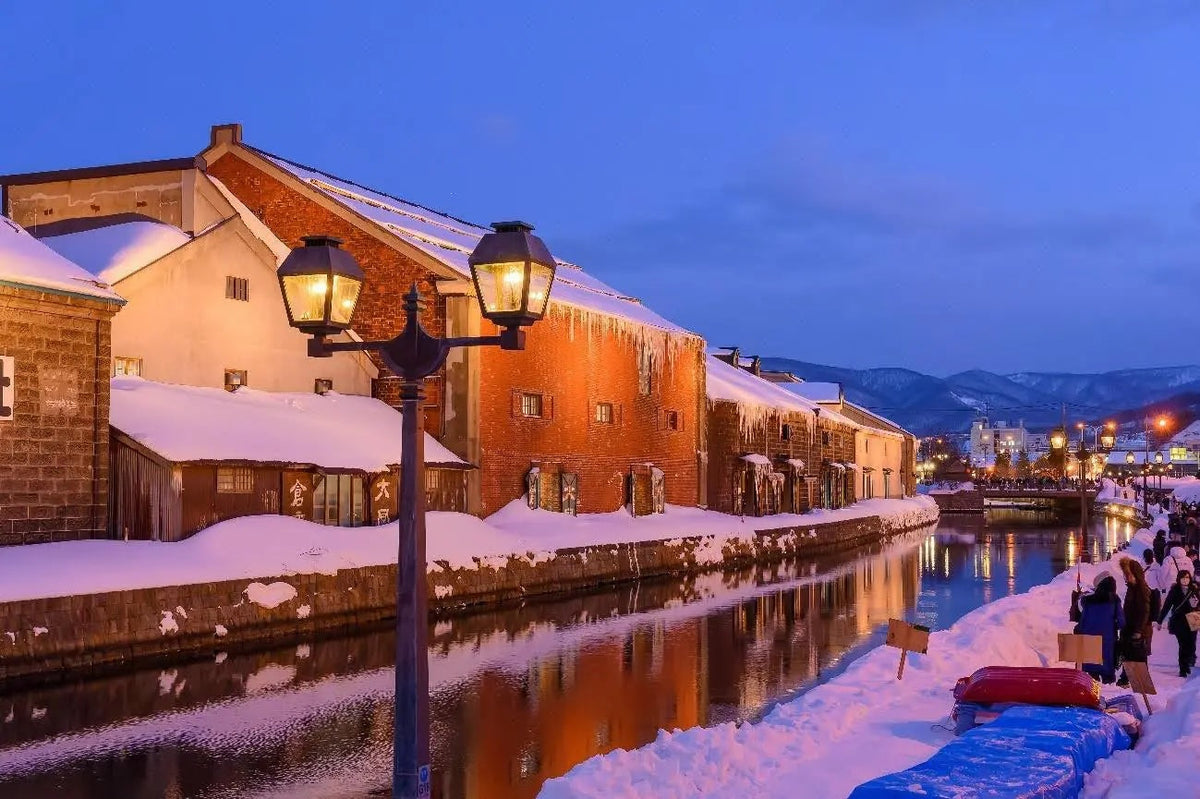 [Private Car Charter in Hokkaido] Sapporo City to Furano - Hoshino Resorts - Noboribetsu - Lake Toya - Niseko and other areas