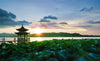 Chartered Car Service to Cities Around Hangzhou (Shanghai - Suzhou - Mount Putuo)