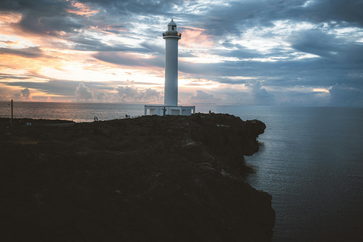 Okinawa: Private Chartered Car - Junglia Jurassic Park - Half - Day Tour - One - Day Tour