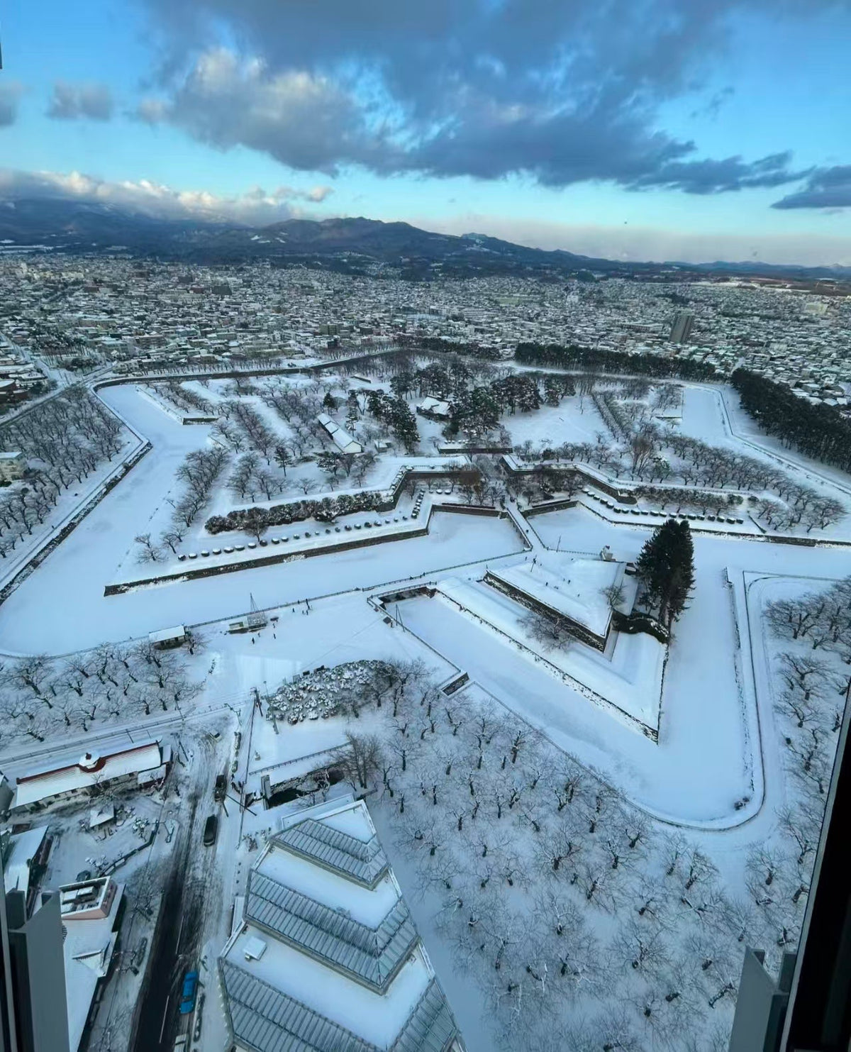 [Hakodate 5 - hour chartered car] Cape Tachimachi - Goryokaku Park - Tropical Botanical Garden (5 & 10 - seater green license plate car + Japanese driver)