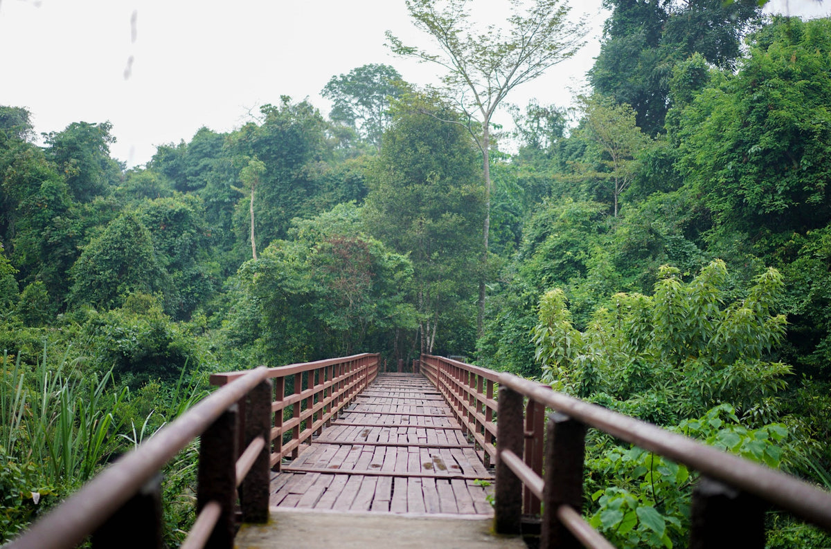 Bangkok and Khao Yai Car Rental with Driver by Okasto