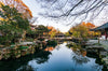 Humble Administrator's Garden & Master of the Nets Garden & Suzhou Museum Private Car Day Tour