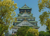 Kansai Private Chartered Car Custom Day Tour: Osaka & Kyoto & Nara & Kobe & Awaji Island & Amanohashidate & Lake Biwa (Departing from Osaka)