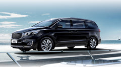 10-Hour Private Car Charter from Seoul: Nami Island, Alpaca World & Sokcho