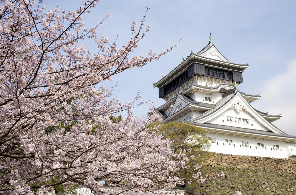 Yamaguchi chartered car day tour (customized itinerary) | Tsunoshima Bridge, Motonosumi Shrine, Senjojiki, Akiyoshidai - Akiyoshido Cave, Beppu Benten Pond, Karato Market, Kanmon Bridge, etc.
