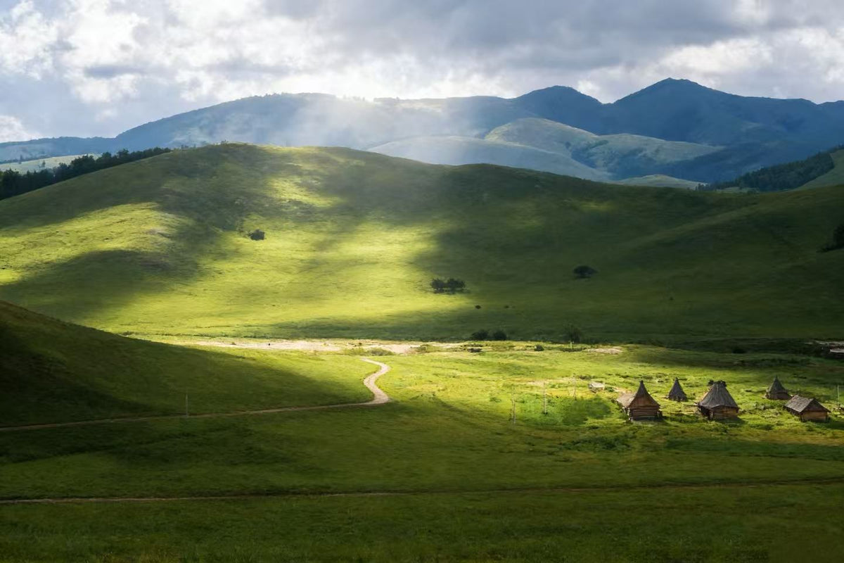 Beijing Chengde private car charter 1 - day tour