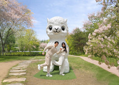 9-Hour Private Car Charter to Nami Island Suburb - Alpaca World from Seoul