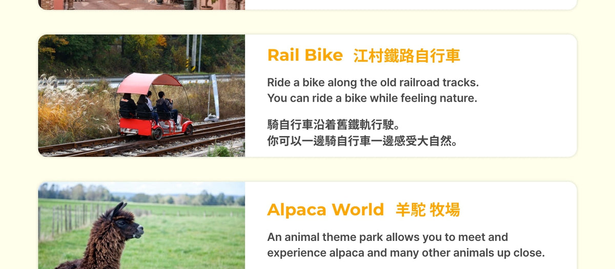 Seoul Private Car Charter to Nami Island - Alpaca World - Rail bike