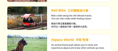 Seoul Private Car Charter to Nami Island - Alpaca World - Rail bike