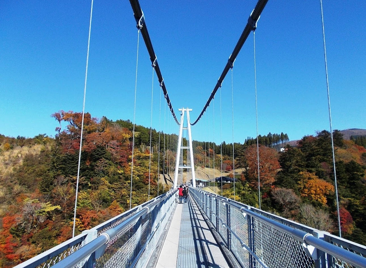 Fukuoka Full - Day Private Chartered Tour