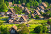 Nagoya Private Car Charter: Mount Fuji, Kamikochi, Shirakawa - go, Kyoto, Kanazawa (Multiple Routes Available)