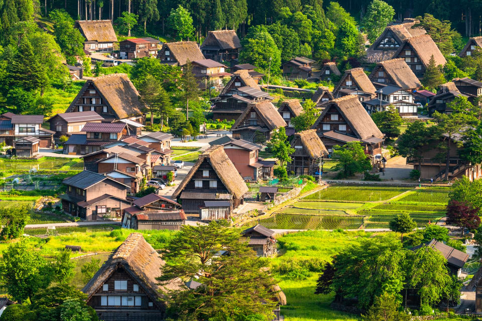Nagoya Private Car Charter: Mount Fuji, Kamikochi, Shirakawa - go, Kyoto, Kanazawa (Multiple Routes Available)