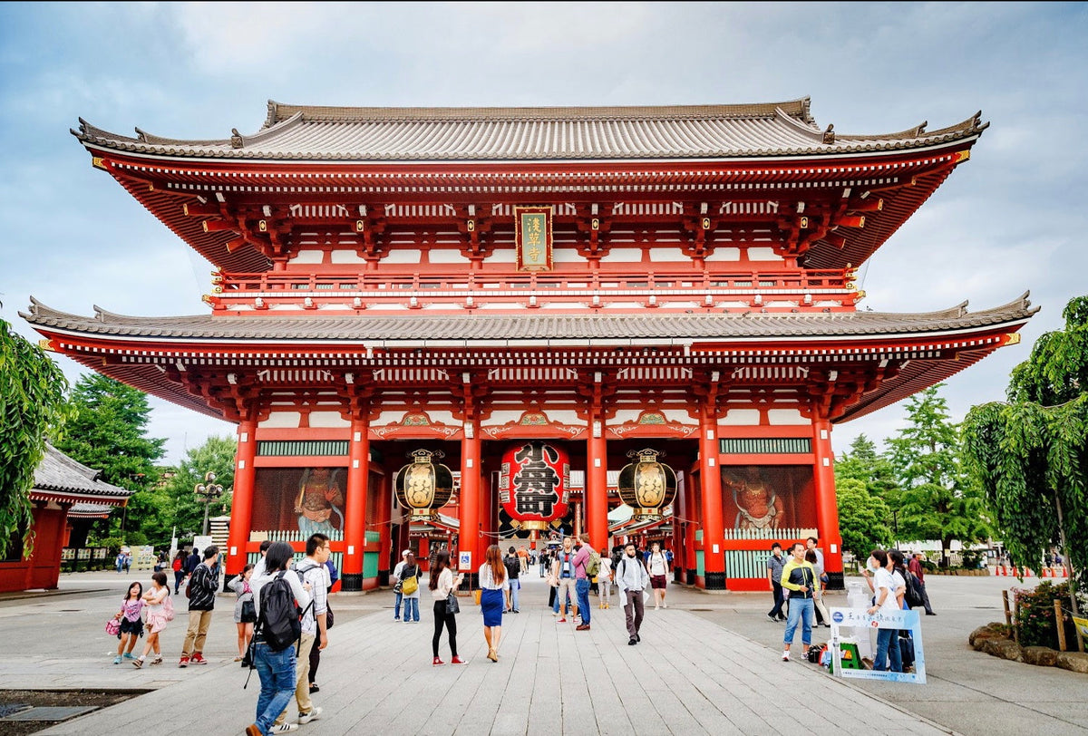 Tokyo Private Chartered Car Day Tour (Customizable Itinerary)