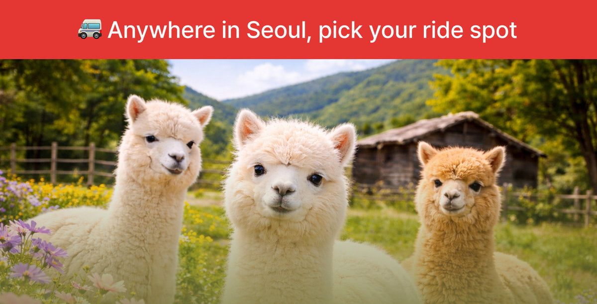 Best of Gangwon - do: Nami Island & Alpaca World Private Car Charter