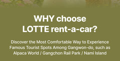 Best of Gangwon - do: Nami Island & Alpaca World Private Car Charter