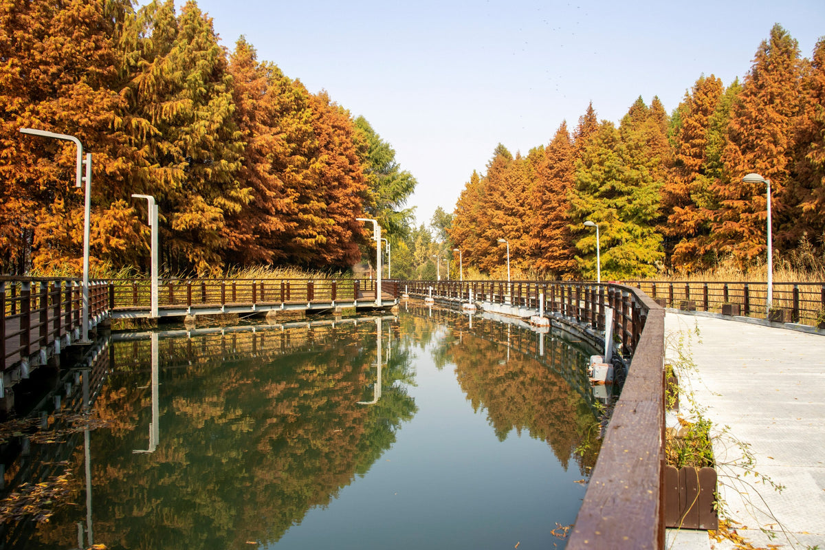 Luzhi Ancient Town & Bacheng Ecological Wetland Park Private Car Day Tour