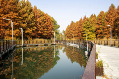 Luzhi Ancient Town & Bacheng Ecological Wetland Park Private Car Day Tour
