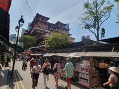 Singapore Private Car City Half - Day Tour