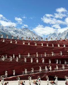 One - day private car tour of Jade Dragon Snow Mountain and Baisha Ancient Town in Lijiang, Yunnan