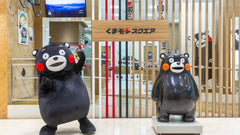 (Fukuoka Departure) Kumamoto Private Car Charter Day Tour | Kumamoto Castle, Suizenji Jojuen Garden, Kumamoto Bear Square, Mount Aso, Kusasenri, Kamishikimi Kumanoza Shrine, Aso Shrine, Shirakawa Suigen, Daikanbo | Private Customized Tour