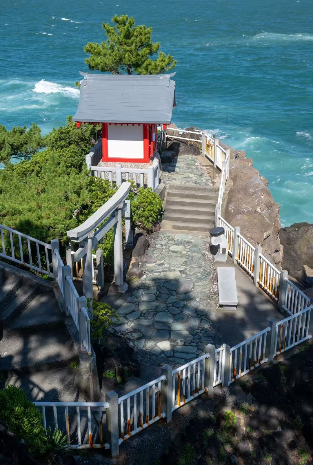 [Kochi Chartered Car] Katsurahama + Makino Botanical Garden + Chikurin - ji Temple + Godaisan Observatory - Day Trip Chartered Car (Customized - Free Arrangement of Itinerary)