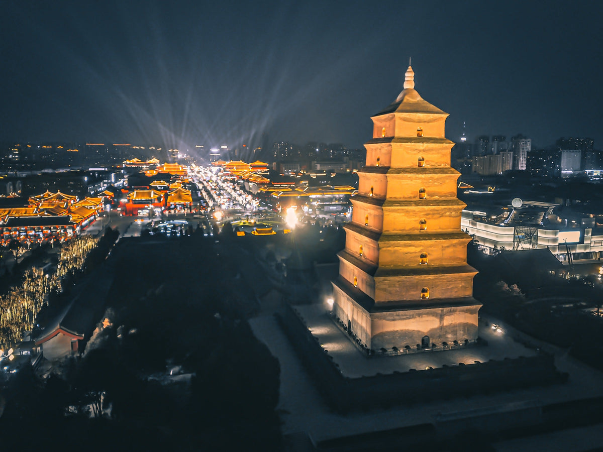 One - day chartered tour to Big Wild Goose Pagoda & Bell and Drum Tower & Shaanxi History Museum