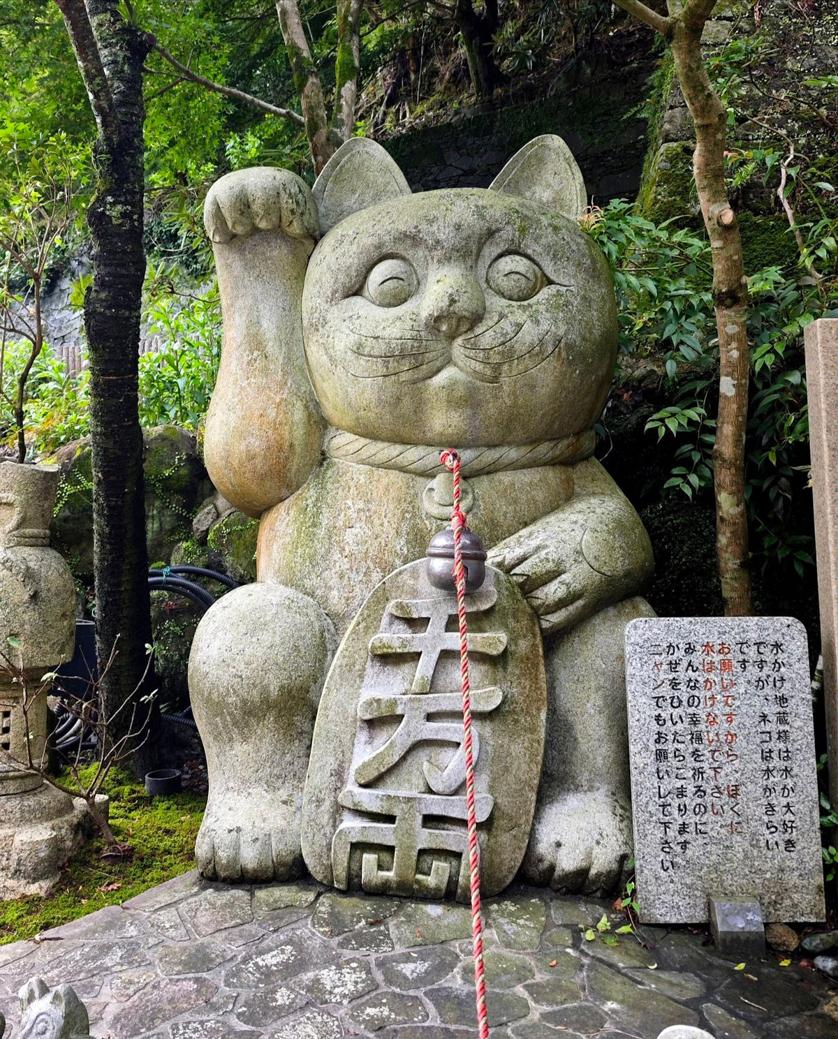 Fukuoka Chartered Day Tour | Chinese Driver and Guide · 10 - Hour Private Transfer | Multiple Routes Available or Customizable in Fukuoka - Nagasaki - Oita - Kumamoto - Takachiho