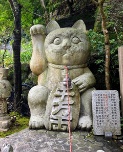 Fukuoka Chartered Day Tour | Chinese Driver and Guide · 10 - Hour Private Transfer | Multiple Routes Available or Customizable in Fukuoka - Nagasaki - Oita - Kumamoto - Takachiho