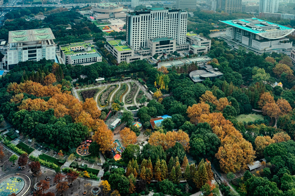 Shanghai People's Park & Jade Buddha Temple & City God Temple & Nanjing Road & The Bund 1 - Day Charter
