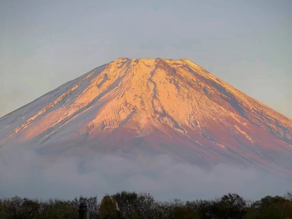 Tokyo Private Car Charter │ Mount Fuji・Lake Kawaguchi・Oshino Hakkai │ Customizable Itineraries