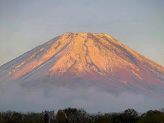 Tokyo Private Car Charter │ Mount Fuji・Lake Kawaguchi・Oshino Hakkai │ Customizable Itineraries