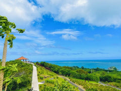 Okinawa Ishigaki Island Private Chartered Car Day Tour・Customized Itinerary