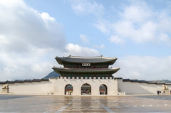 Private Car Charter Tour From Seoul (Tailored Seoul & Suburbs)