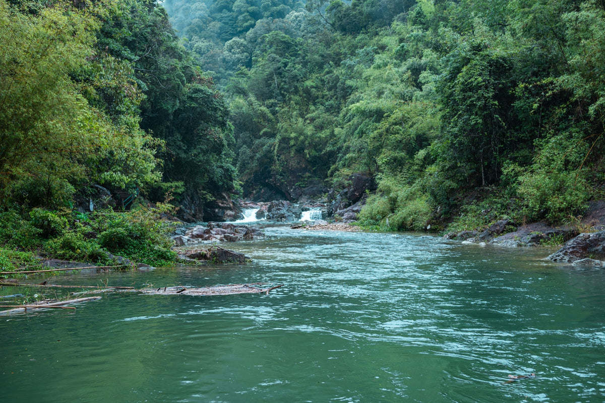 Shenzhen - Huizhou private car transfer to Huizhou Nankun Mountain