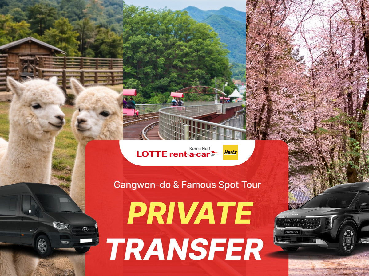 Best of Gangwon - do: Nami Island & Alpaca World Private Car Charter