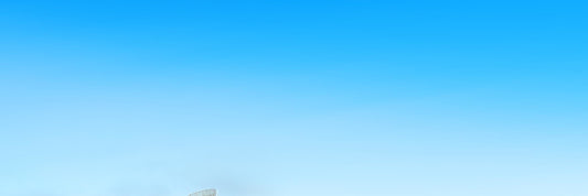 Zhanjiang City One - Day Private Car Charter