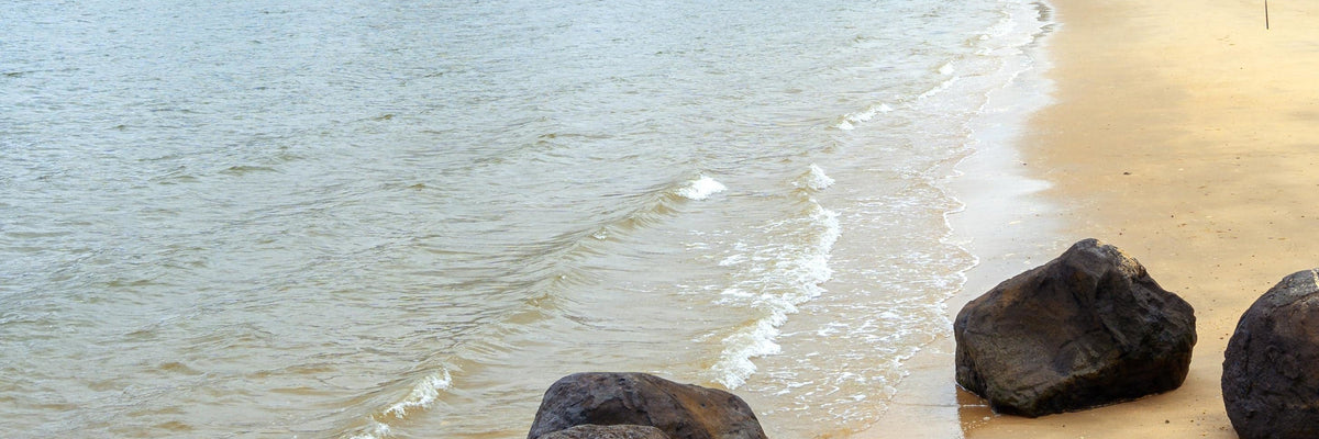 Zhanjiang City One - Day Private Car Charter