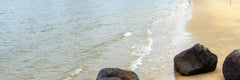 Zhanjiang City One - Day Private Car Charter