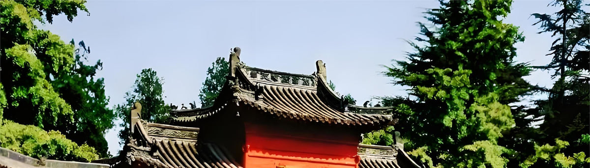 Longmen Grottoes, Shaolin Temple, Luoyang Museum, and private car charter for a day trip in Luoyang