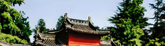 Longmen Grottoes, Shaolin Temple, Luoyang Museum, and private car charter for a day trip in Luoyang