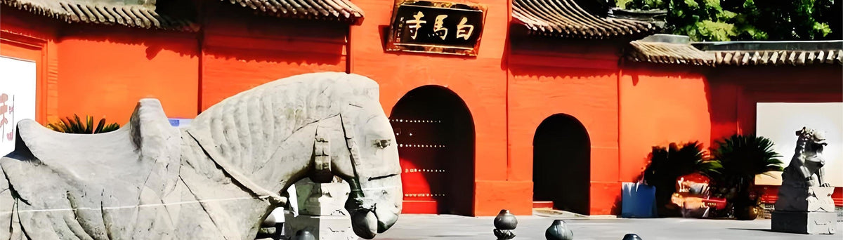 Longmen Grottoes, Shaolin Temple, Luoyang Museum, and private car charter for a day trip in Luoyang