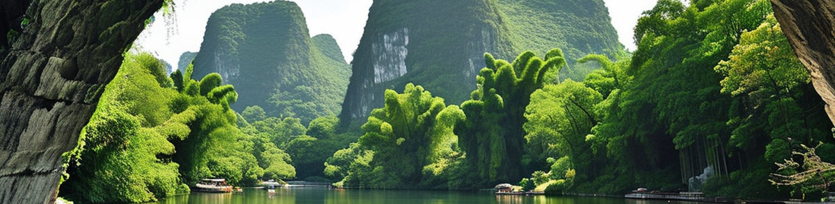 Reed Flute Cave - Seven Star Park & Elephant Trunk Hill & Sun and Moon Twin Towers Private Car Day Tour