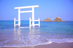 [Kyushu Wharf Private Car Charter] Fukuoka - Nagasaki - Sasebo - Kumamoto Wharf Private Car Charter One - Day Tour | Customizable Itinerary