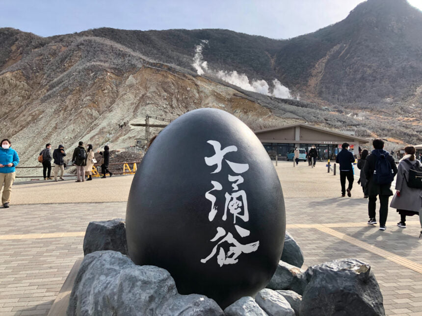 Hakone Private Chartered Day Tour (From Tokyo)