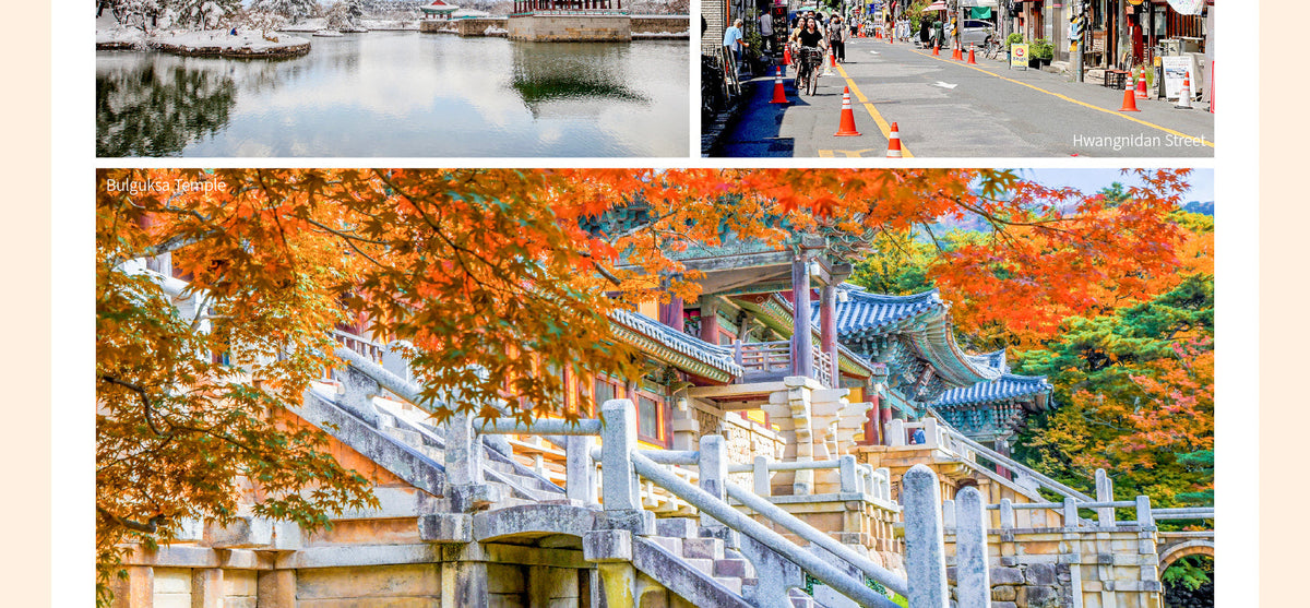 Gyeongju Private Sightseeing Car Charter from Busan