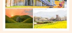 Gyeongju Private Sightseeing Car Charter from Busan