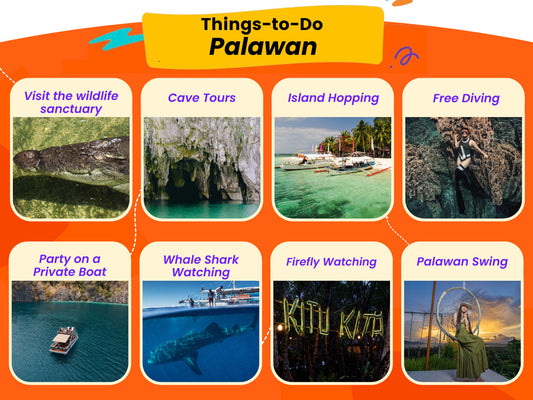 Palawan Car Rental with Driver
